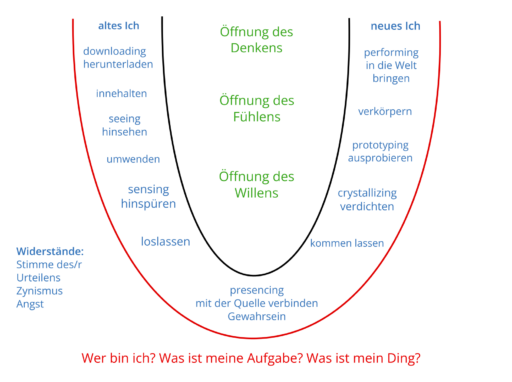 Theorie U - Otto Scharmer - Psychotherapie